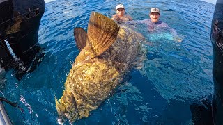 This fish was bigger than 2 PEOPLE Catch Clean Cook COCONUT CRUSTED FISH FILLET [upl. by Trude]