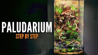 How to build a Paludarium Vivarium [upl. by Eelyab940]