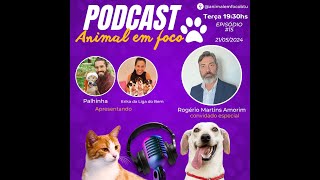 ROGÉRIO MARTINS AMORIM  ANIMAL EM FOCO 15 [upl. by Esilahs]