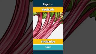 🇬🇧🇫🇷 rhubarb  rhubarbe  vocabulary builder  learn English  apprenons langlais [upl. by Anitsim]