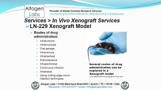 LN 229 Brain Cancer Xenograft Service [upl. by Immanuel]