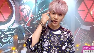 【TVPP】EXO  Growl 엑소  으르렁  Comeback Stage Show Music Core Live [upl. by Calva]