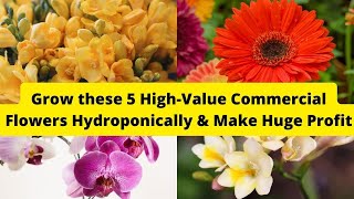 5 HighValue Commercial Flowers to Grow Hydroponically  Hydroponics  Floriculture  Farming [upl. by Wakefield]