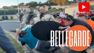 Bandido agitée ➡️ Bellegarde 🇫🇷 131024 Manade Du LEVANT LERON LESCOT amp MUNOZ [upl. by Wilson702]