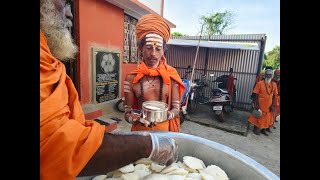 Tiruvannamalai  09 Nov 2024  Shasti Peacock visit and Annadhanam for 250 Sadhus [upl. by Nollat]