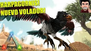 HARPAGORNIS NUEVO ANIMAL VOLADOR MOD ARK SUVIVAL EVOLVED ADDITIONAL CREATURES GAMEPLAY ESPAÑOL [upl. by Akers]