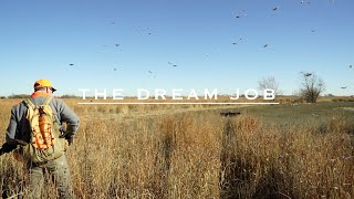 ROOSTER Kansas Pheasant amp Honker Shoot  The Dream Job Season 4 Episode 11 [upl. by Sacttler272]