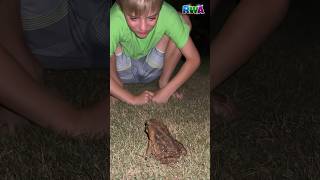 😱 WATCH OUT Giant toad prank scares cameraman dad [upl. by Ojahtnamas]