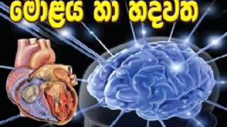 Molaya ha Hadawatha මොලය හා හදවත [upl. by Rriocard]