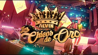 ♪♪ Alvin los Chicos de Oro Dorali  Por que te quiero Oficial 4K♪🔸️HA ESTUDIOS  2023🔸️ [upl. by Milson]