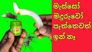 මැස්සෝ මදුරුවෝ එලවන්න සුපිරිම ක්‍රමයක් how to get rid mosquitoes at home [upl. by Ayel]