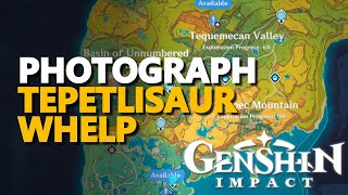 Photograph Tepetlisaur Whelp Genshin Impact [upl. by Oruam]