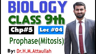 Prophase  Mitosis  Cell cycle  Chapter 5  9th class Biology  Lec4 [upl. by Beberg175]