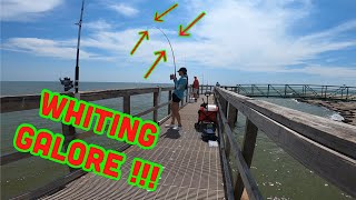 Fishing in Matagorda Texas  Fishing for whiting  9082021 [upl. by Artenak]