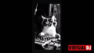 Da Weasel  DJ [upl. by Maziar]