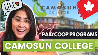 CAMOSUN COLLEGE GET PAID WHILE STUDYING  BEST COOP PROGRAMS for international students in Canada [upl. by Maximilien]