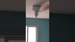 iphone ringtone meme but with ceiling fan ceilingfan funny shorts memes [upl. by Orelle]