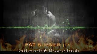 FAT BURNER  Weight Loss  Subliminals amp Morphic Fields Faster Metabolism High Energy Levels [upl. by Avera]