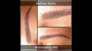 Tutorial Técnica MICROBLADING de CEJAS  Micropigmentación PASO A PASO  CEJAS PERFECTAS [upl. by Aniri]