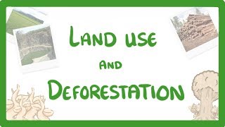 GCSE Biology  Land Use  Deforestation amp Peat Bogs 92 [upl. by Anovad]