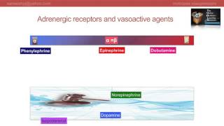 Inotropes and Vasopressors  rationale of choice in ICU Part 1  Saneesh  AnesthesiaTOOLS [upl. by Isyed]