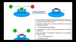 Basics of Drug Interactions EXPLAINED  Inhibition amp Induction [upl. by Arakawa]