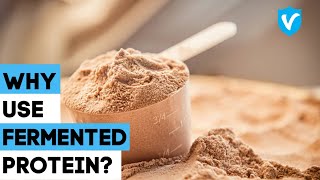 Why Fermented Protein 2022 [upl. by Zebe]