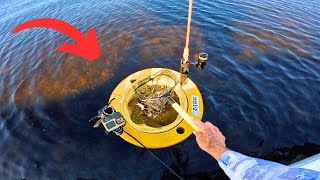 This Wading Station makes Live Bait Fishing Easy [upl. by Morten]