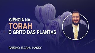 Ciência na Torá O Grito das Plantas [upl. by Che]