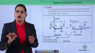 Biomolecules  Oligosaccharides [upl. by Kellen]