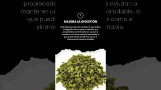 3 beneficios del OREGANO [upl. by Nahte]