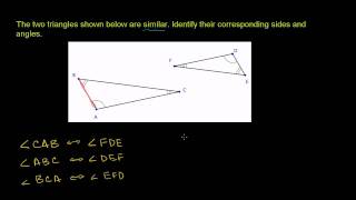 Similar Triangles Corresponding Sides and Angles [upl. by Hannavahs]