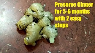 Ginger Preserve  2 Easy Steps to keep ginger good for long time  Keep Ginger fresh for long [upl. by Zednanreh225]