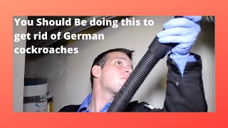 How To Get Rid of German Cockroaches Using Nonchemical Methods [upl. by Anividul]