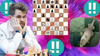 Brilliant Stockfish vs Magnus Carlsen chess game 7 [upl. by Ladew577]