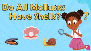 Do All Mollusks Have Shells  Facts About Mollusks  Animal Facts For Kids  Facts For Kids [upl. by Sanford781]