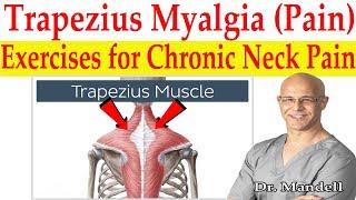 Trapezius Myalgia Caused From Forward Head Posture Best Corrective Exercises  Dr Mandell DC [upl. by Olshausen]