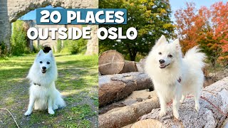 Molly The Spitz Guiding You Through 20 PLACES Outside Oslo Norway [upl. by Dilks]