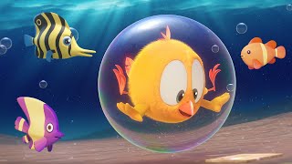 Wheres Chicky Funny Chicky 2023  THE OCEAN  Cartoon in English for Kids  New episodes [upl. by Ardnuahsal283]