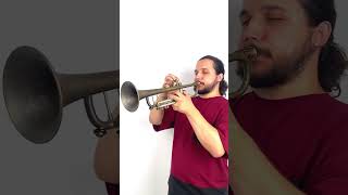 🎶 Experience the sound of a custom trumpet with booster from KGUmusic trumpet trumpeter jazz [upl. by Ballard237]