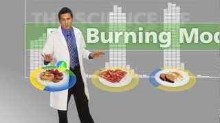 The Food Lovers Fat Loss System  Explained [upl. by Anastos330]