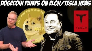 Dogecoin Pumps on Elon Musk  Tesla News [upl. by Bunker354]