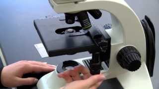 BIOLOGY 10  Basic Microscope Setup and Use [upl. by Ennaihs]