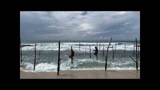 Stilt Fishing in Koggala SriLanka 🇱🇰🇱🇰🇱🇰 [upl. by Alysa]