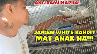 Jansen white nagpisa na [upl. by Beattie]