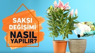 Çiçeklerde Saksı ve Toprak Değişimi Pratik Çözümler  Koçtaş ile Nasıl Yapılır [upl. by Junna408]