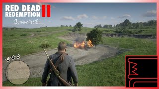 Red Dead Redemption 2 Survivalist 8 [upl. by Nnylram]