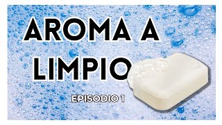 AROMA A LIMPIO VOLUMEN 1  Un perfume de almizcle jabonoso 🧼🧼 [upl. by Zuliram]