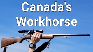 Cooey 22 Caliber Rifle is Canadas Workhorse Rifle  Model 60  600  Cooey Canuck [upl. by Neetsuj]