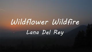 Lana Del Rey  Wildflower Wildfire Lyrics [upl. by Enniotna]